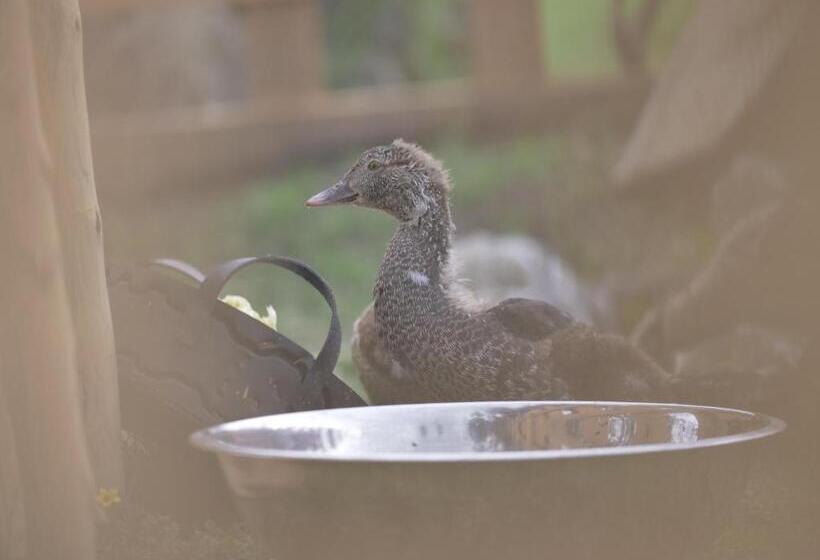 ホテル Rondador Cotopaxi