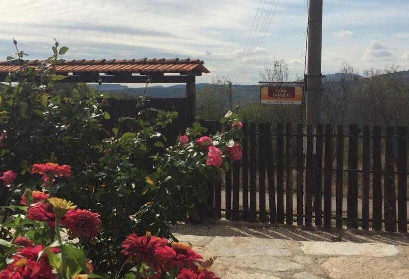 Пансион Casa Lambuh