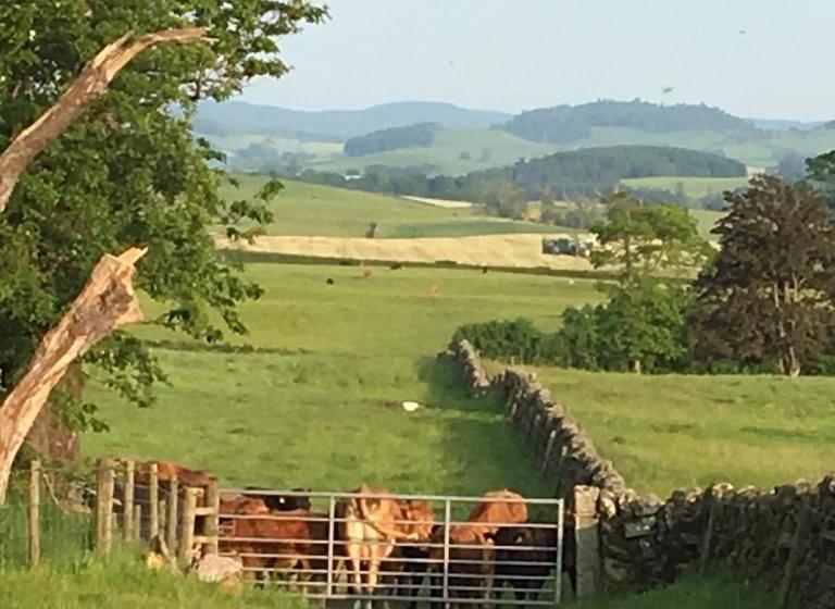 Pension Chipperkyle Country House B&b