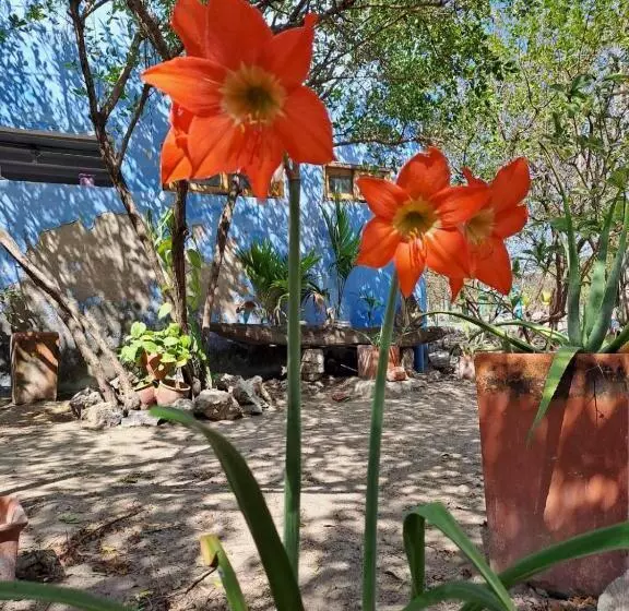 Majatalo Galerazambahostal