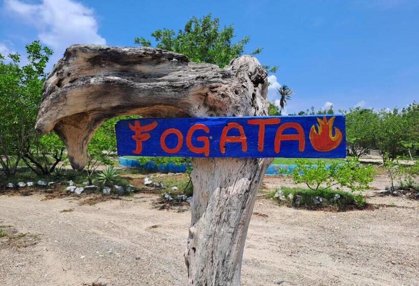 פנסיון Galerazambahostal