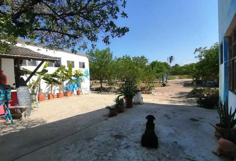 Majatalo Galerazambahostal