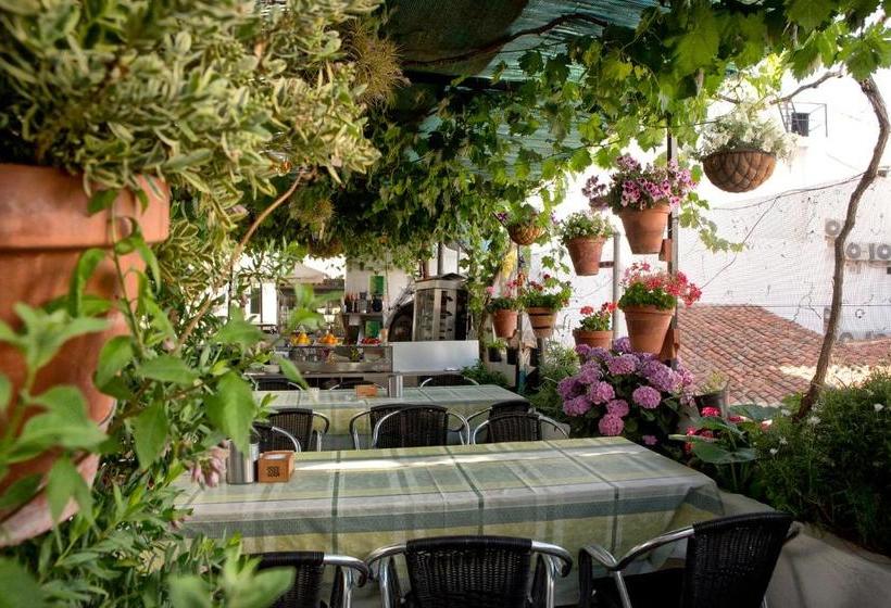 ペンション Hostal Soledao