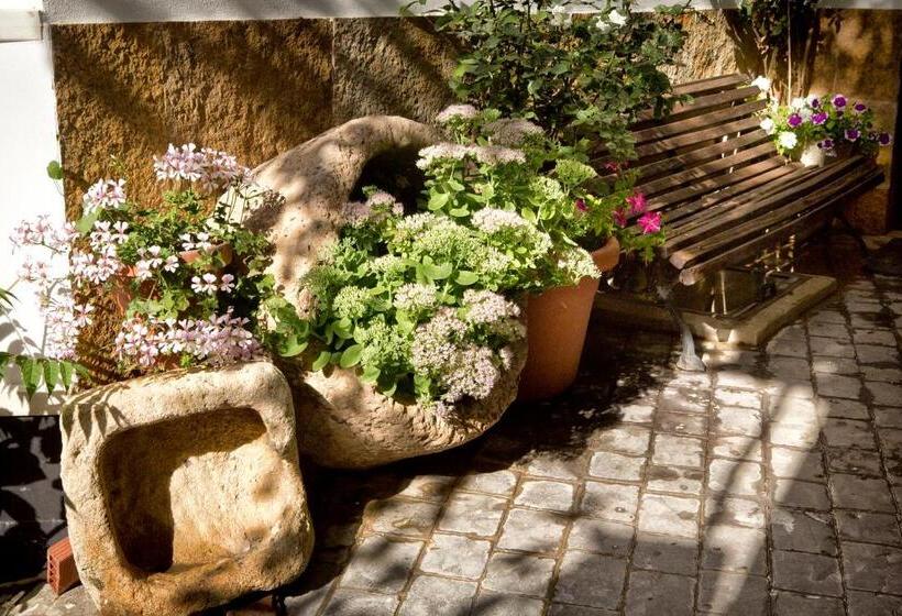 ペンション Hostal Soledao