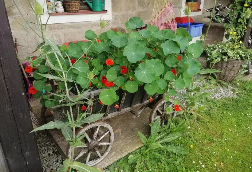 ペンション Penzion Nadějov