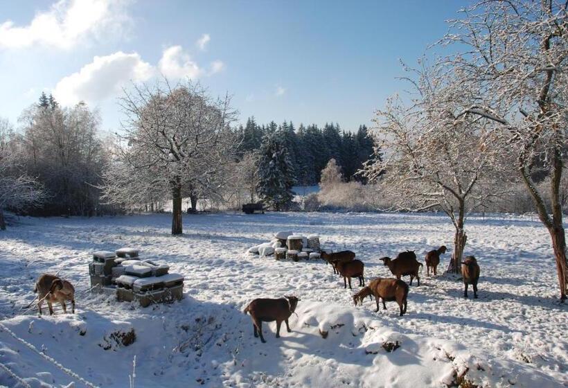 פנסיון Penzion Nadějov