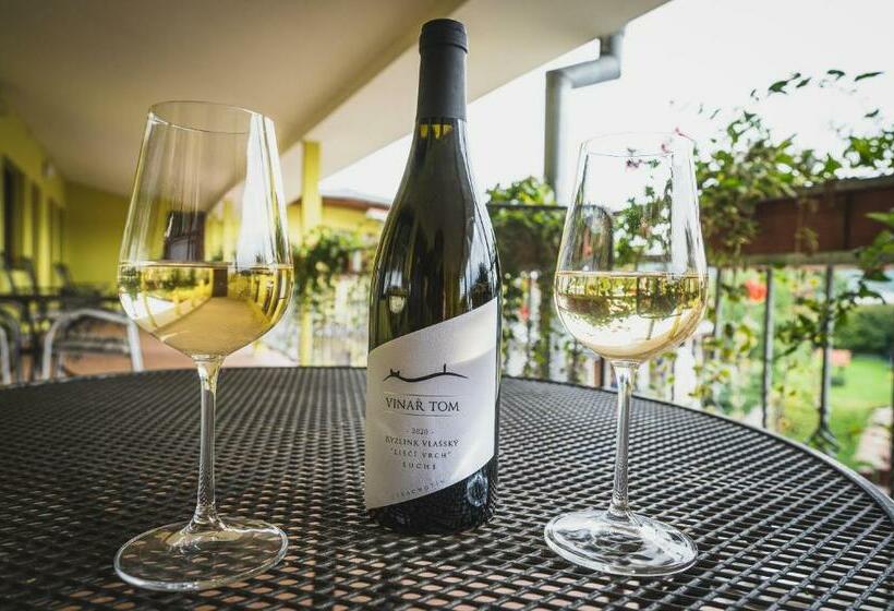 ペンション Penzion A Vinařství Vyskočil Strachotín