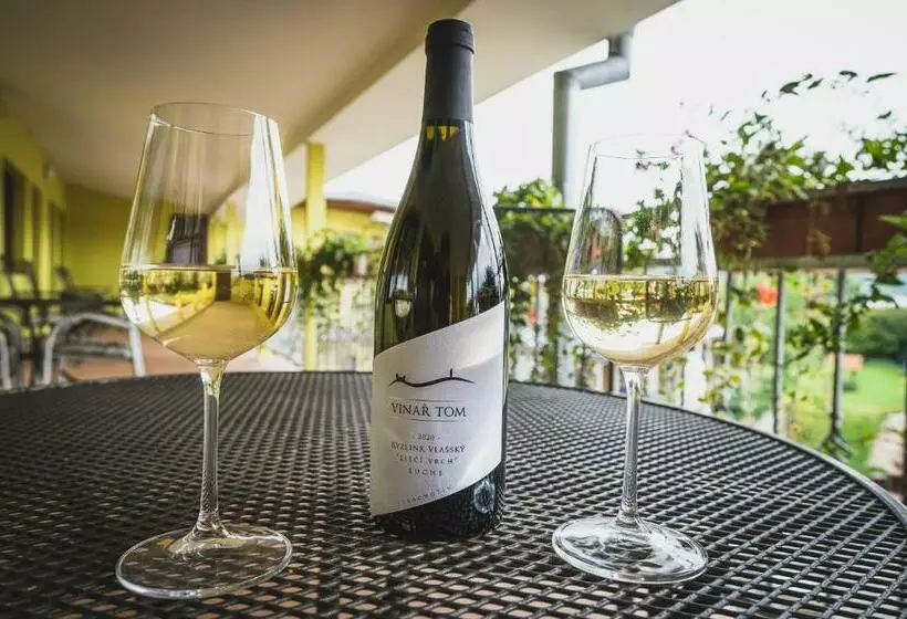 ペンション Penzion A Vinařství Vyskočil Strachotín