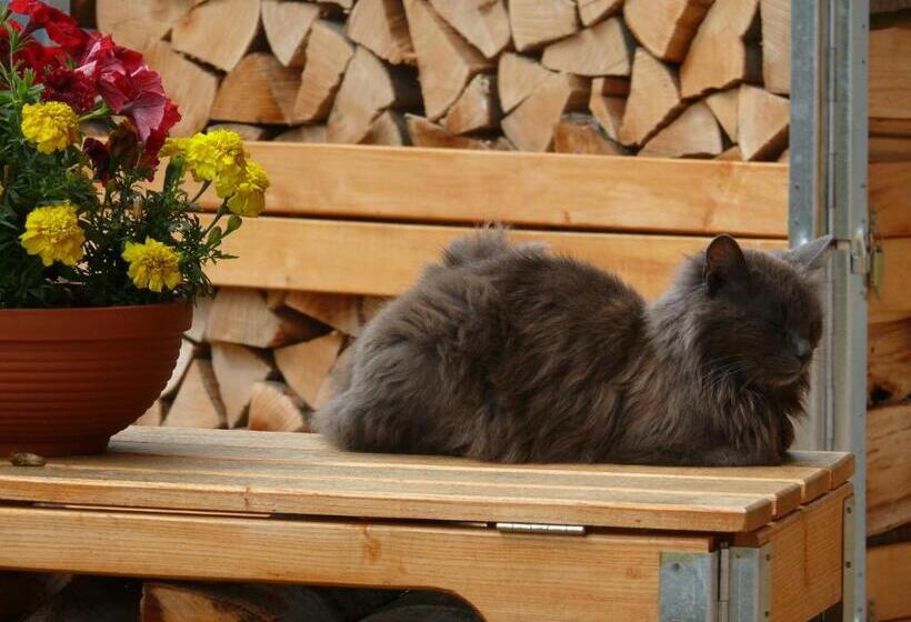 Пансион Tiszafa Vendégház Szentgál