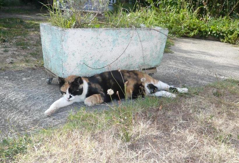 צימר Le Soubiran