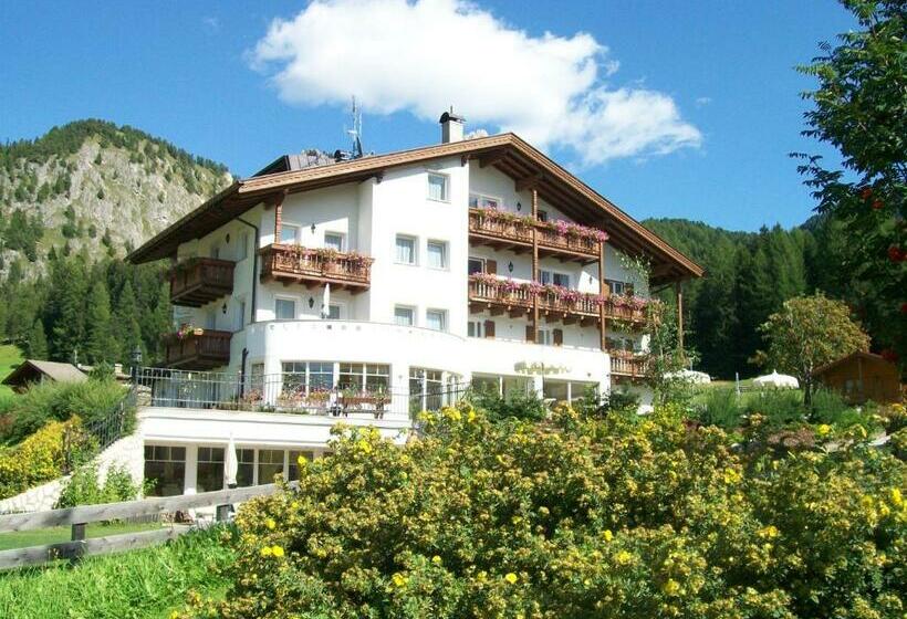 Отель Garnì Villa Erna