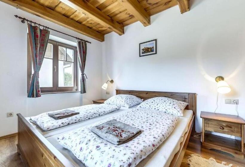 Pensione Csodaszarvas Vendégházak