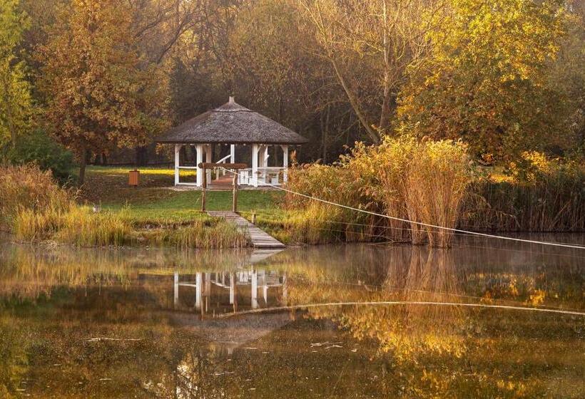 Pensione Csodaszarvas Vendégházak