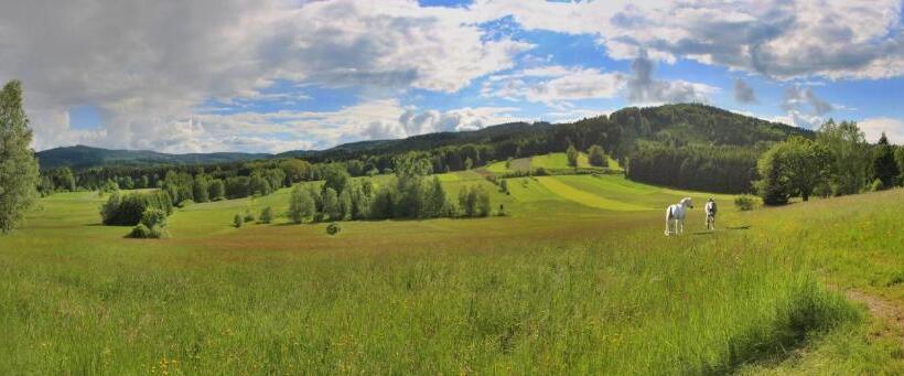 פנסיון Penzion šejby