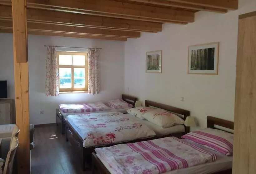 ペンション Penzion Fořtovna