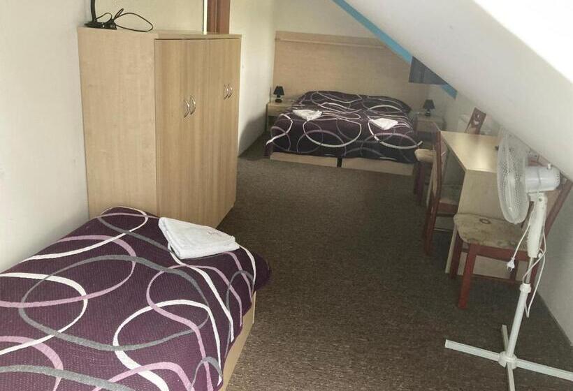 펜션 Penzion Grasel