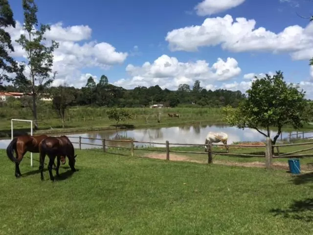 ペンション Pousada Sarapui