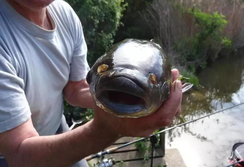 Majatalo Resort Svět