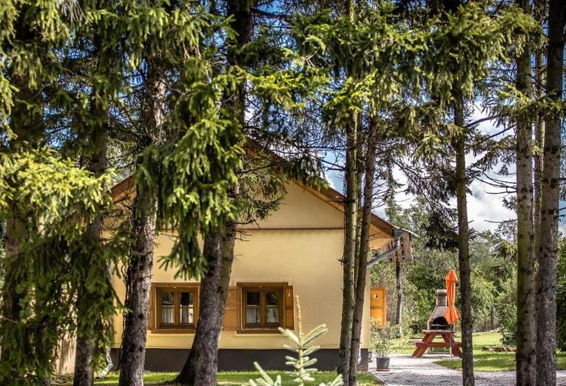 Пансион Török Vendégház