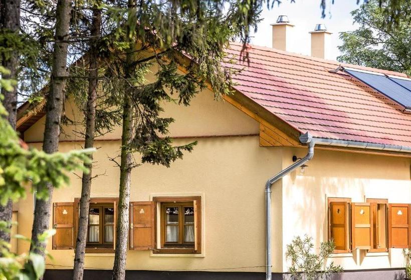 Пансион Török Vendégház