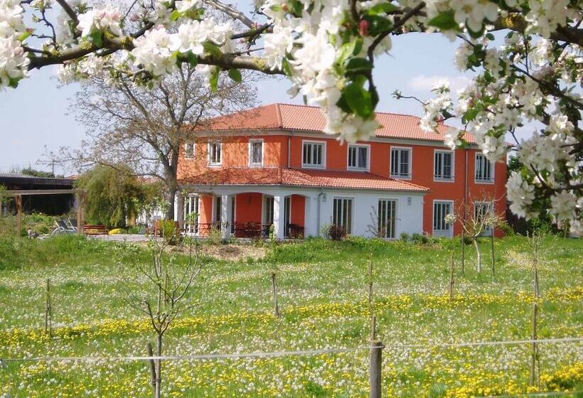 Пансион Weinhof Am Nussbaum