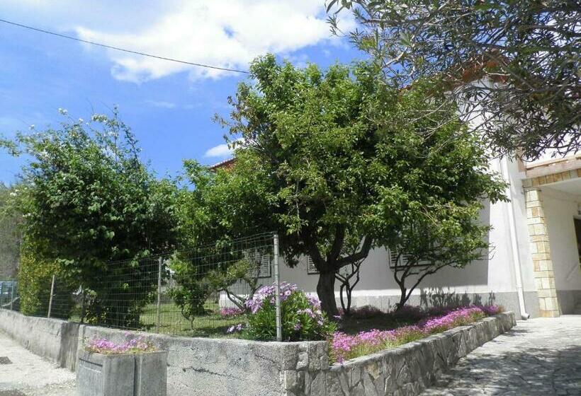 פנסיון Rose Rooms At Island Of Rab