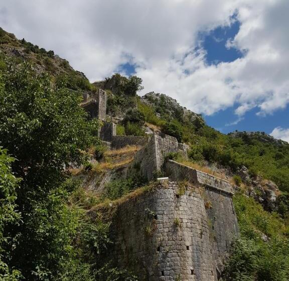 پانسیون S&i Room