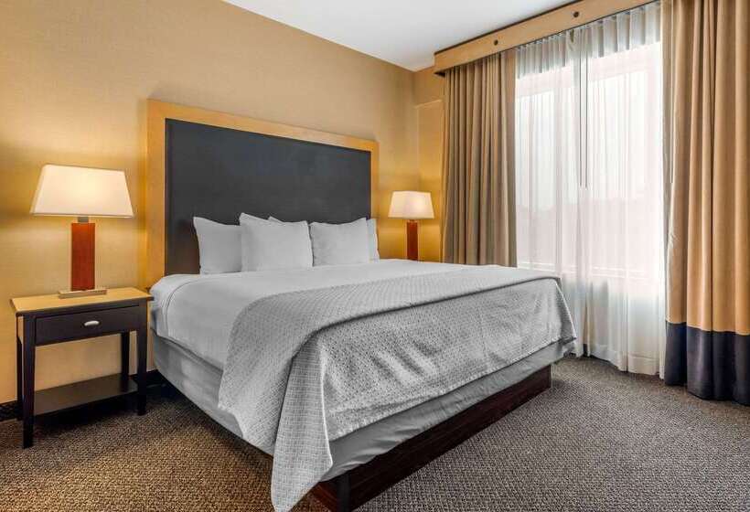 Cambria Hotel Akron   Canton Airport