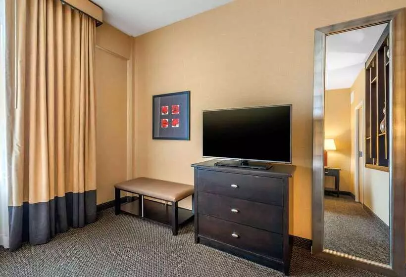 Cambria Hotel Akron   Canton Airport