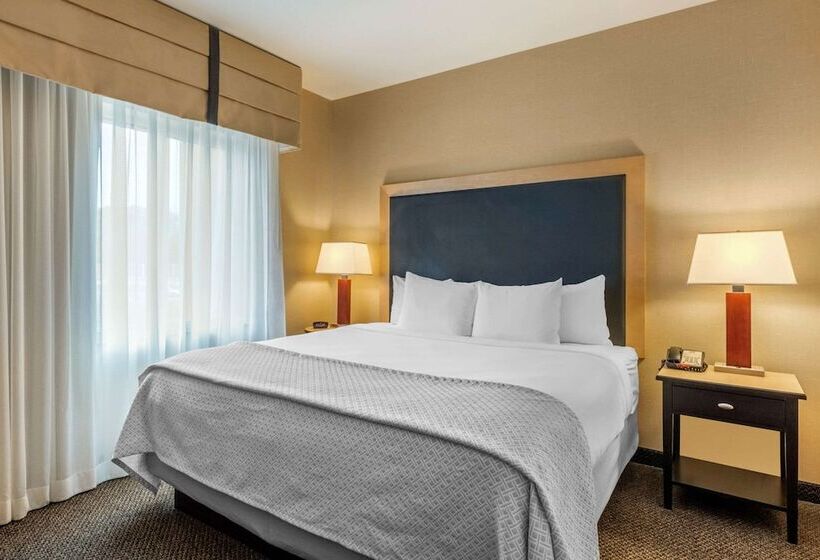 Cambria Hotel Akron   Canton Airport