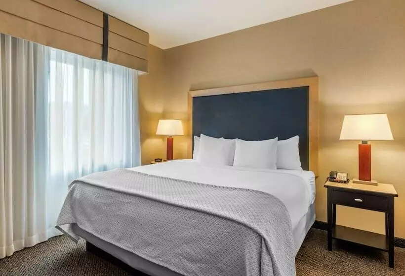 Cambria Hotel Akron   Canton Airport