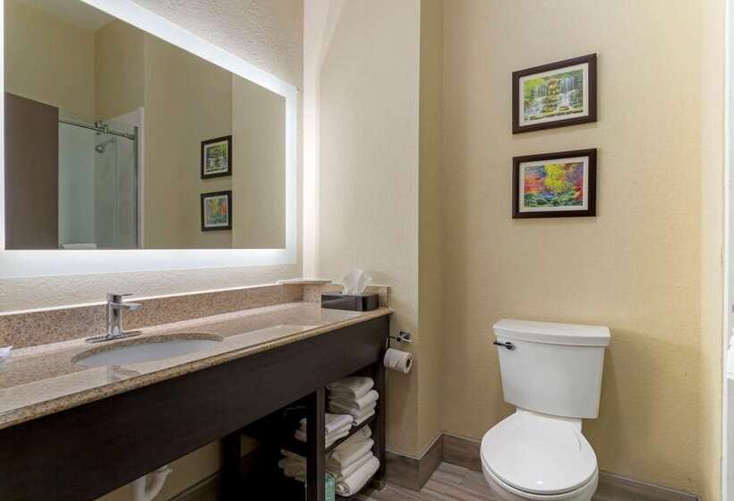 בית מלון כפרי Comfort Suites Kingwood Houston North