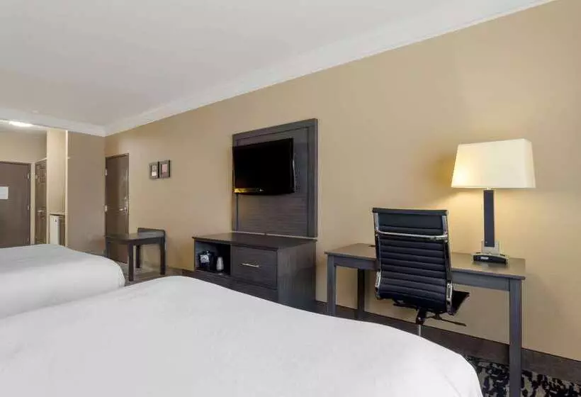 فندق Comfort Suites Kingwood Houston North