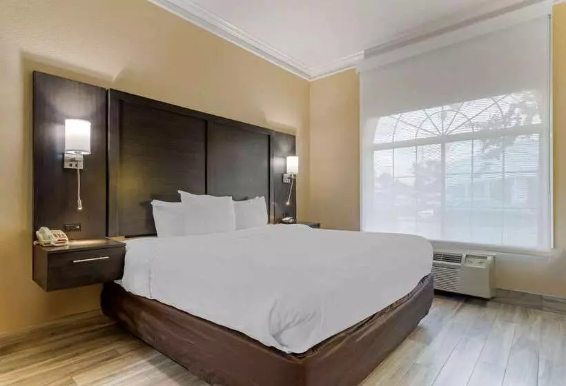 فندق Comfort Suites Kingwood Houston North