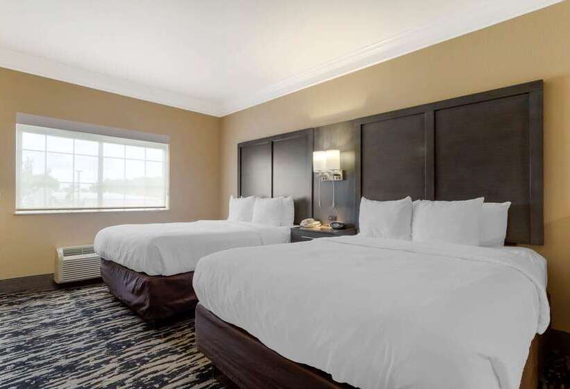 בית מלון כפרי Comfort Suites Kingwood Houston North