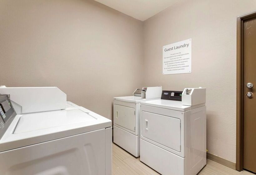 בית מלון כפרי Comfort Suites Kingwood Houston North