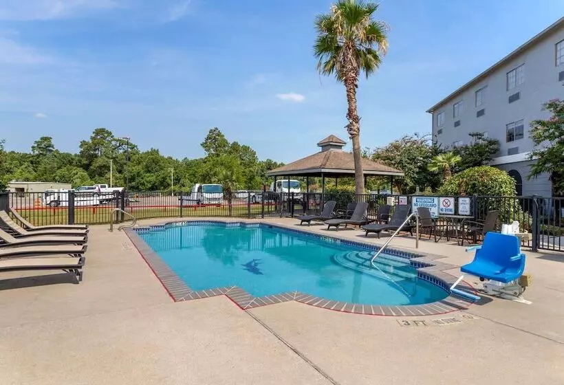 فندق Comfort Suites Kingwood Houston North