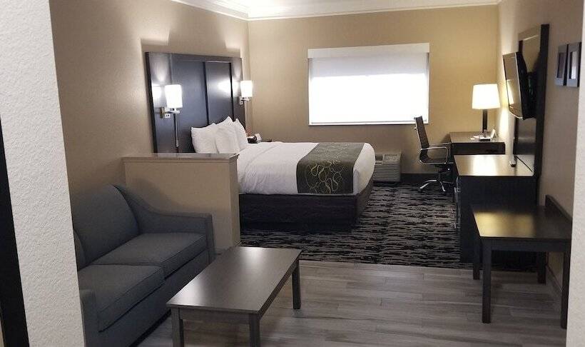 בית מלון כפרי Comfort Suites Kingwood Houston North