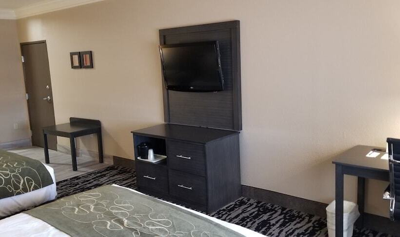 בית מלון כפרי Comfort Suites Kingwood Houston North