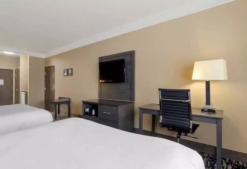 فندق Comfort Suites Kingwood Houston North