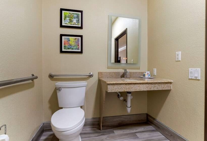 בית מלון כפרי Comfort Suites Kingwood Houston North