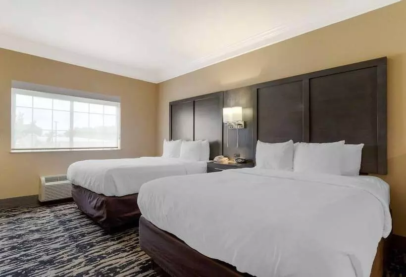 فندق Comfort Suites Kingwood Houston North