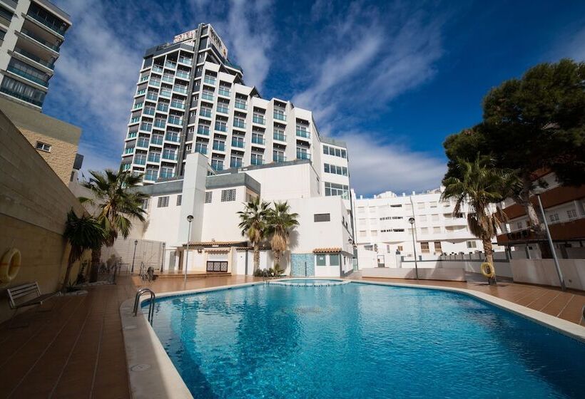 ホテル La Familia Gallo Rojo