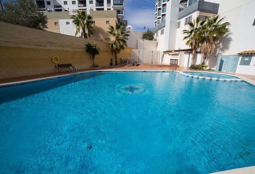 ホテル La Familia Gallo Rojo