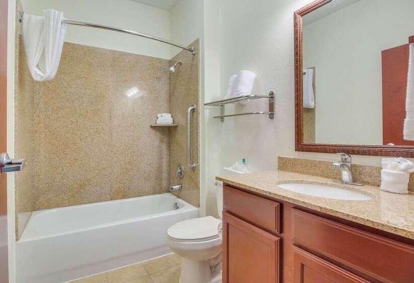 هتل Mainstay Suites Texas Medical Center Reliant Park