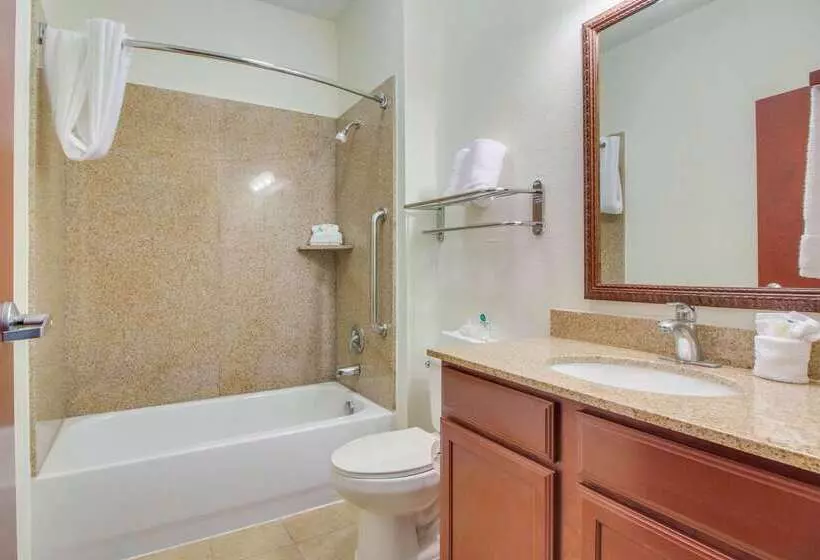 Hotel Mainstay Suites Texas Medical Center Reliant Park