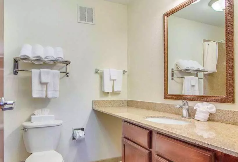 Hotel Mainstay Suites Texas Medical Center Reliant Park