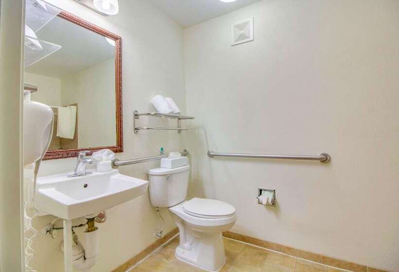 هتل Mainstay Suites Texas Medical Center Reliant Park