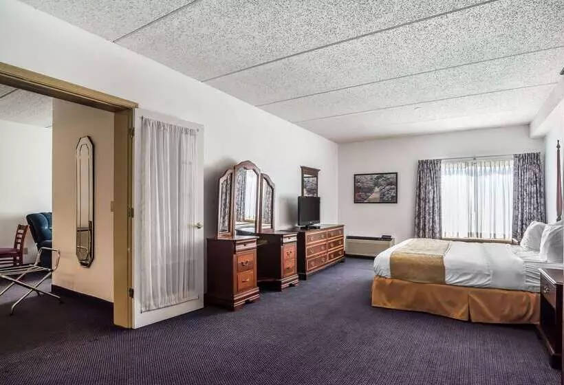 Hotel Quality Inn & Suites Albany Airport