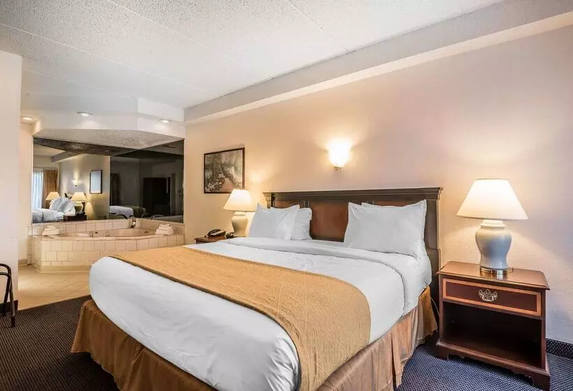 Hotel Quality Inn & Suites Albany Airport